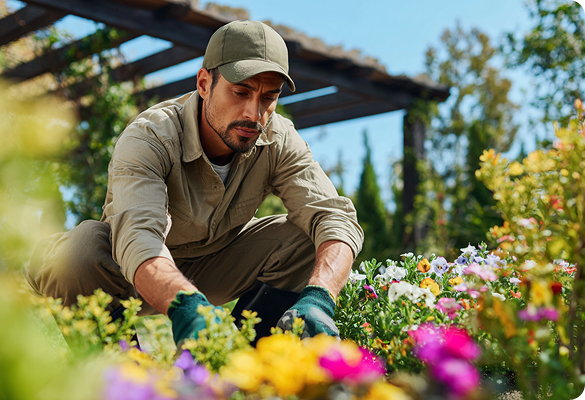 Direct wage access - get paid without fees